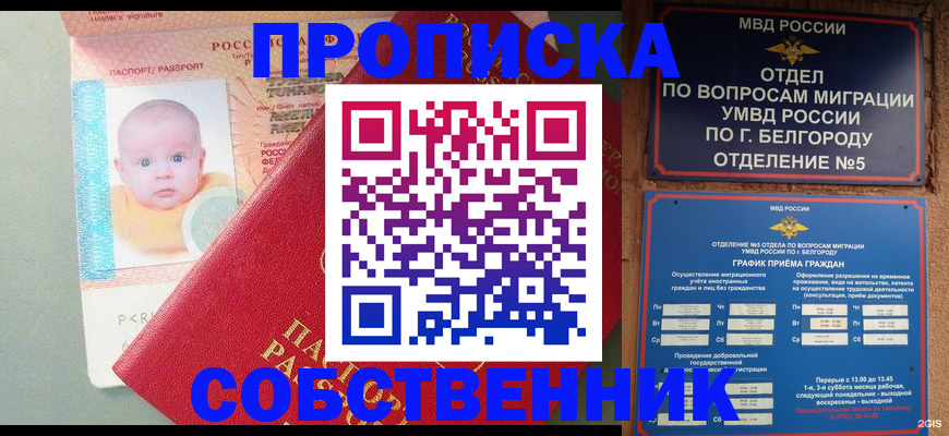 прописка для школы в Коврове